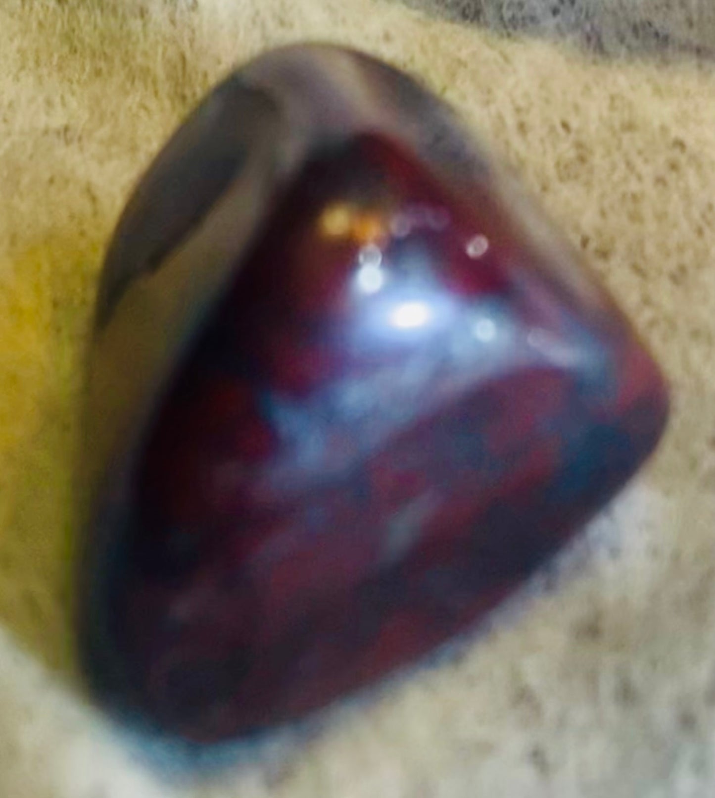Red Jasper w/Hematite Necklace