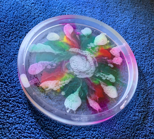 Multicolored Handmade Resin Coaster/Coin Tray