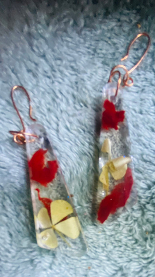 Gorgeous Resin Wire Earrings
