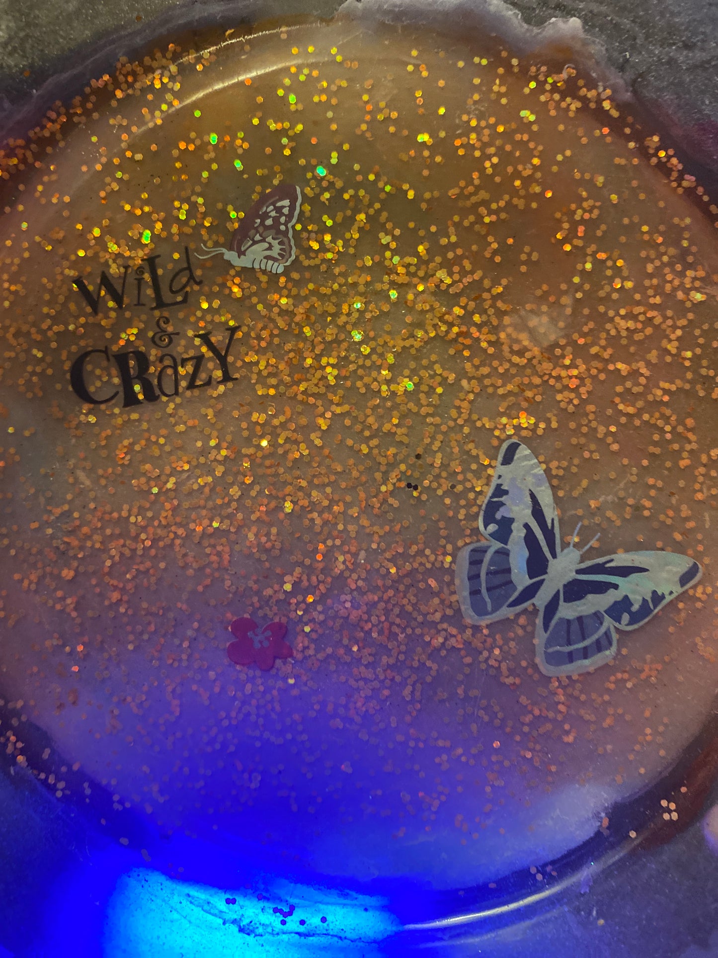 Wild & Crazy Butterflies