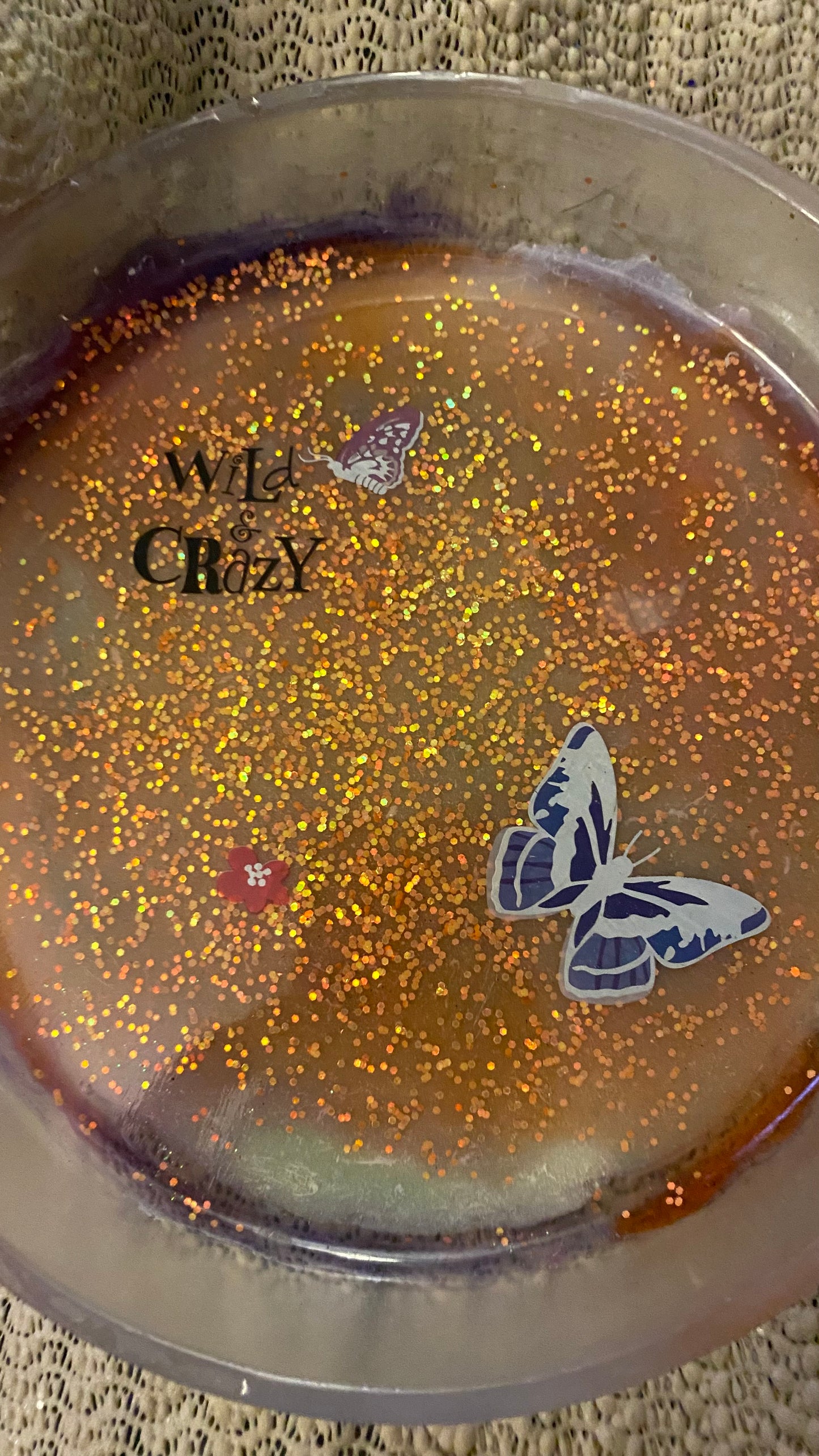 Wild & Crazy Butterflies