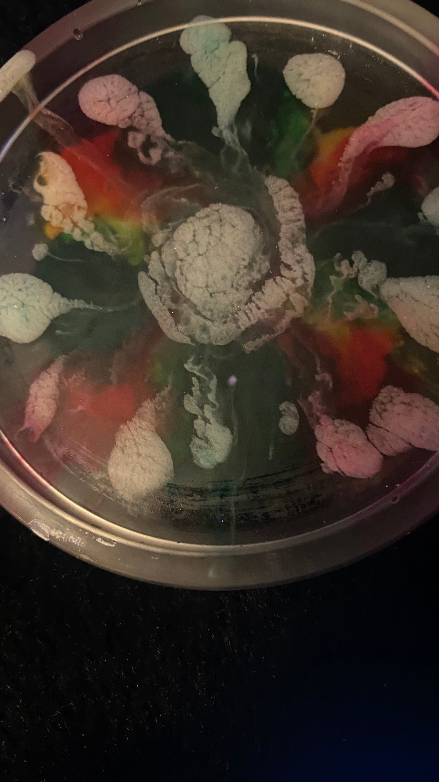 Multicolored Handmade Resin Coaster/Coin Tray